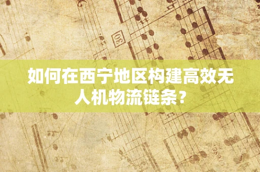 如何在西宁地区构建高效无人机物流链条？