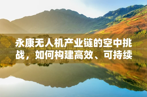永康无人机产业链的空中挑战，如何构建高效、可持续的供应链？
