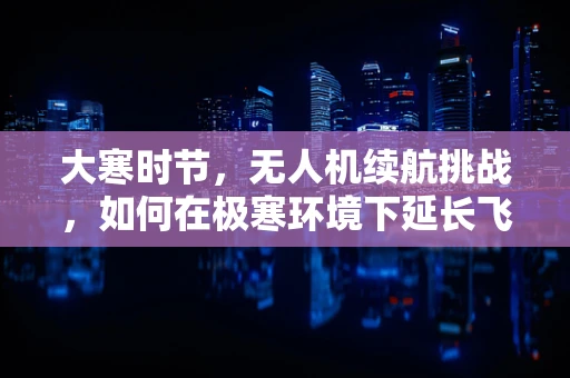大寒时节，无人机续航挑战，如何在极寒环境下延长飞行时间？