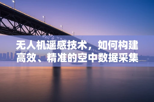 无人机遥感技术，如何构建高效、精准的空中数据采集链？