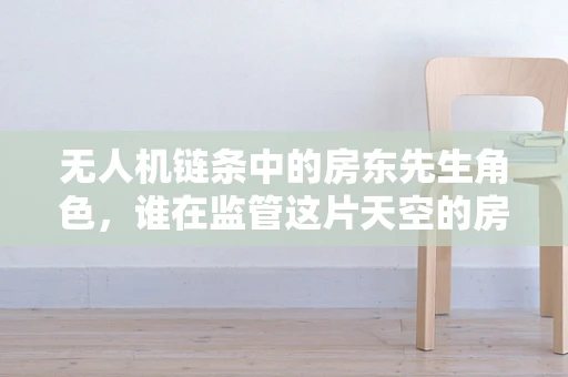 无人机链条中的房东先生角色，谁在监管这片天空的房东？