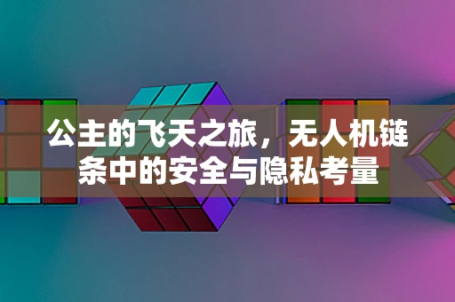 公主的飞天之旅，无人机链条中的安全与隐私考量