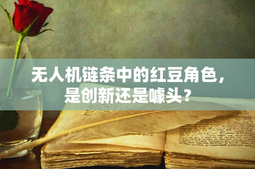 无人机链条中的红豆角色，是创新还是噱头？