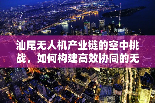 汕尾无人机产业链的空中挑战，如何构建高效协同的无人机生态系统？