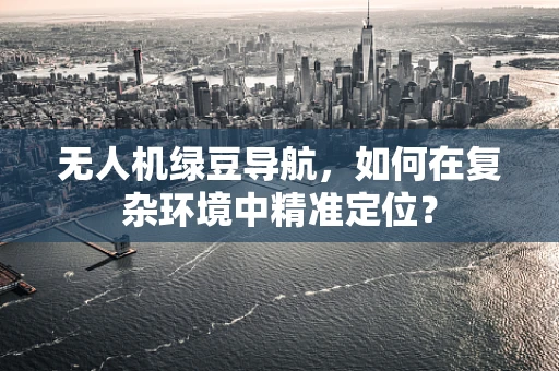无人机绿豆导航，如何在复杂环境中精准定位？