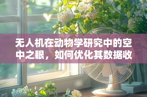 无人机在动物学研究中的空中之眼，如何优化其数据收集的准确性与隐私保护？