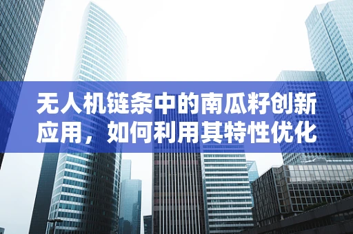 无人机链条中的南瓜籽创新应用，如何利用其特性优化飞行稳定性？