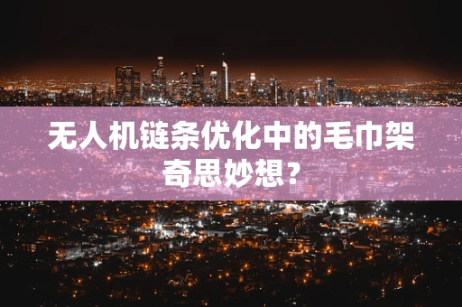 无人机链条优化中的毛巾架奇思妙想？