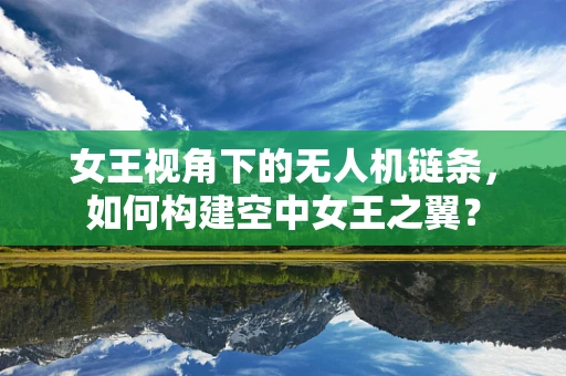 女王视角下的无人机链条，如何构建空中女王之翼？