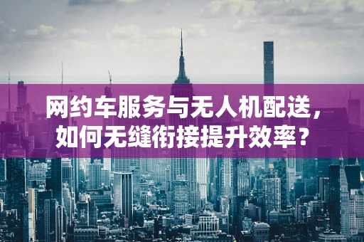 网约车服务与无人机配送，如何无缝衔接提升效率？