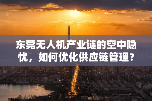 东莞无人机产业链的空中隐忧，如何优化供应链管理？