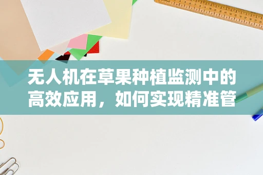 无人机在草果种植监测中的高效应用，如何实现精准管理与病虫害预防？