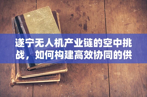 遂宁无人机产业链的空中挑战，如何构建高效协同的供应链网络？