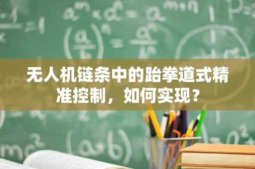 无人机链条中的跆拳道式精准控制，如何实现？