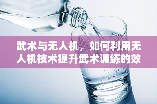 武术与无人机，如何利用无人机技术提升武术训练的效率与安全性？