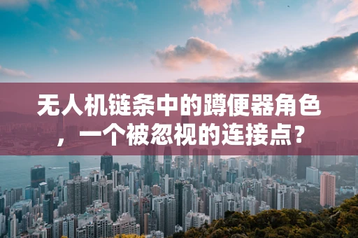 无人机链条中的蹲便器角色，一个被忽视的连接点？