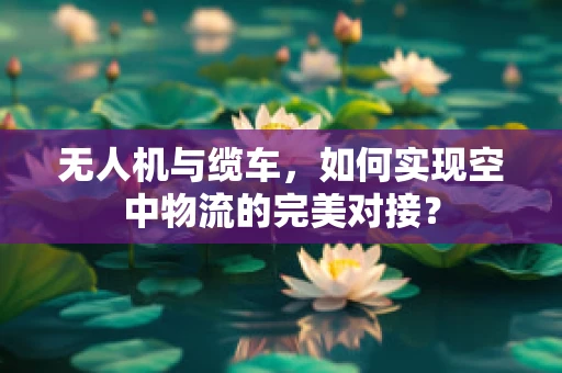 无人机与缆车，如何实现空中物流的完美对接？