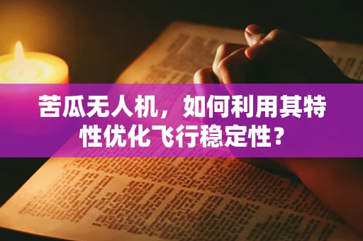 苦瓜无人机，如何利用其特性优化飞行稳定性？