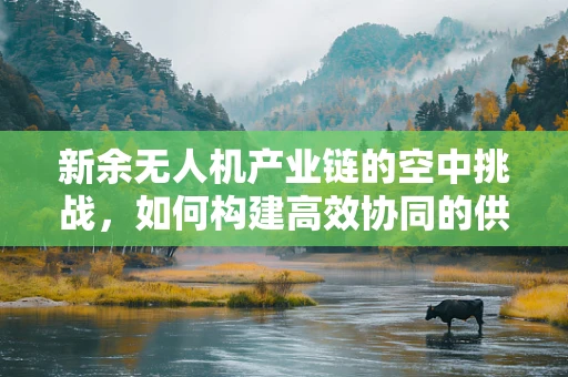 新余无人机产业链的空中挑战，如何构建高效协同的供应链？