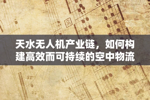 天水无人机产业链，如何构建高效而可持续的空中物流网络？