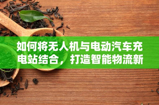 如何将无人机与电动汽车充电站结合，打造智能物流新生态？