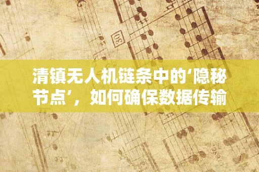 清镇无人机链条中的‘隐秘节点’，如何确保数据传输的稳定与安全？