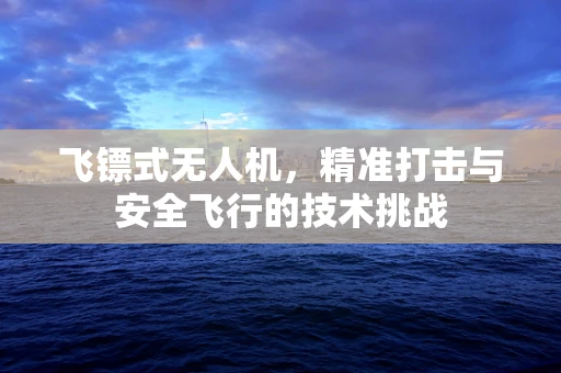 飞镖式无人机，精准打击与安全飞行的技术挑战