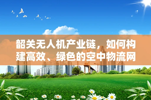 韶关无人机产业链，如何构建高效、绿色的空中物流网络？