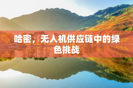 哈密，无人机供应链中的绿色挑战