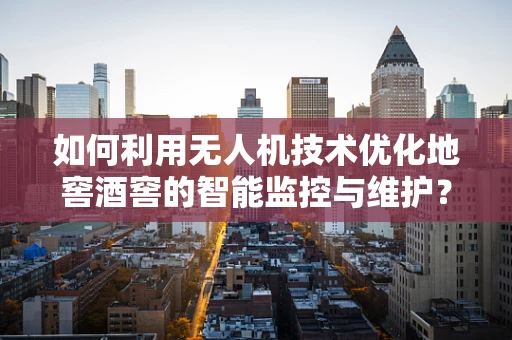 如何利用无人机技术优化地窖酒窖的智能监控与维护？