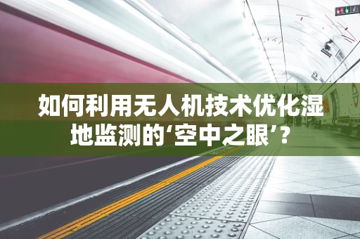 如何利用无人机技术优化湿地监测的‘空中之眼’？