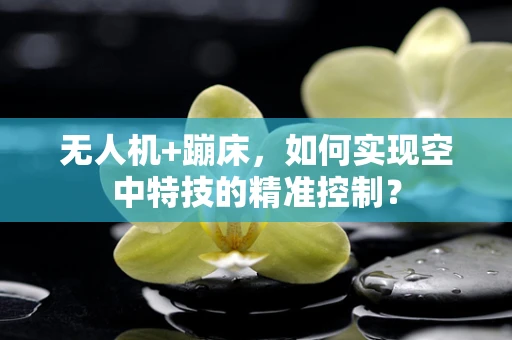无人机+蹦床，如何实现空中特技的精准控制？