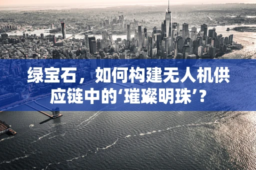 绿宝石，如何构建无人机供应链中的‘璀璨明珠’？