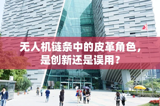 无人机链条中的皮革角色，是创新还是误用？