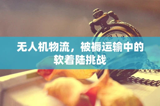 无人机物流，被褥运输中的软着陆挑战
