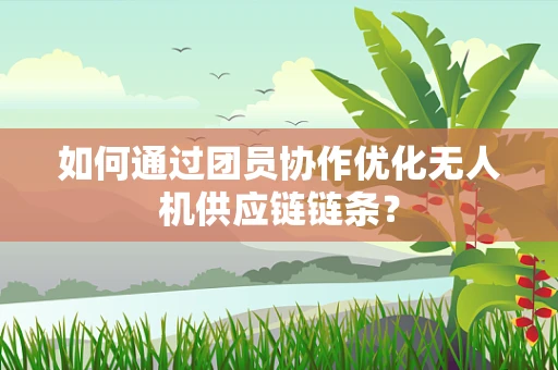 如何通过团员协作优化无人机供应链链条？