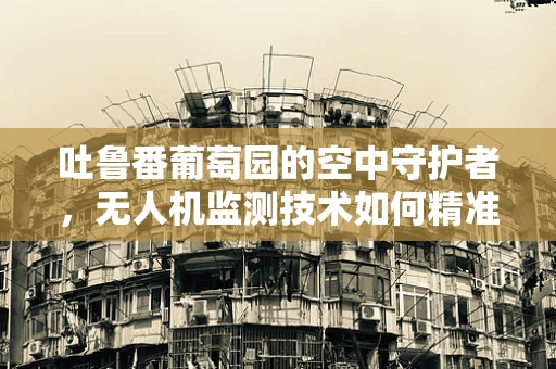 吐鲁番葡萄园的空中守护者，无人机监测技术如何精准护航？