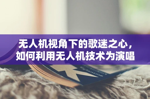 无人机视角下的歌迷之心，如何利用无人机技术为演唱会增添新奇体验？