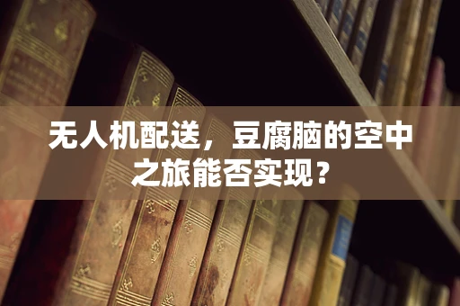 无人机配送，豆腐脑的空中之旅能否实现？