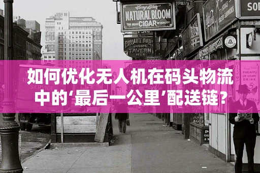 如何优化无人机在码头物流中的‘最后一公里’配送链？