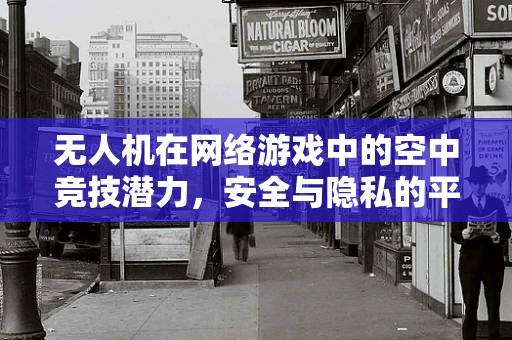 无人机在网络游戏中的空中竞技潜力，安全与隐私的平衡挑战