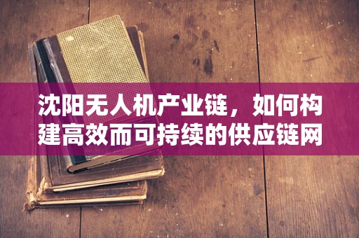 沈阳无人机产业链，如何构建高效而可持续的供应链网络？
