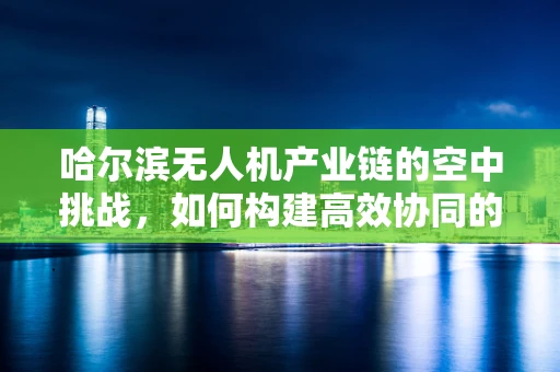 哈尔滨无人机产业链的空中挑战，如何构建高效协同的供应链？