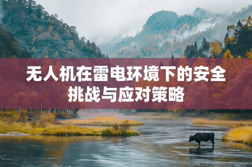 无人机在雷电环境下的安全挑战与应对策略