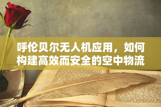 呼伦贝尔无人机应用，如何构建高效而安全的空中物流链条？