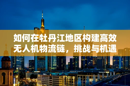 如何在牡丹江地区构建高效无人机物流链，挑战与机遇并存？