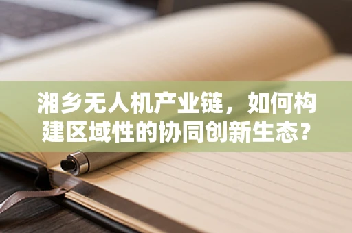 湘乡无人机产业链，如何构建区域性的协同创新生态？