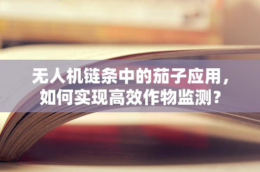 无人机链条中的茄子应用，如何实现高效作物监测？