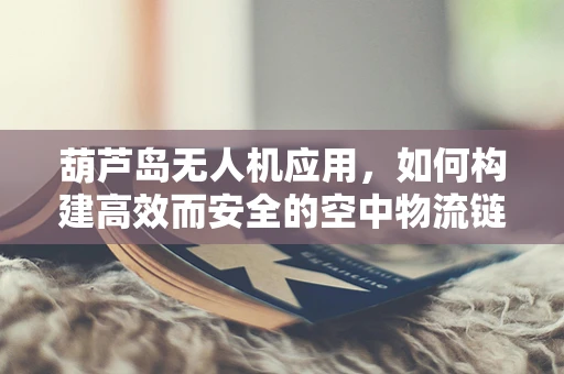 葫芦岛无人机应用，如何构建高效而安全的空中物流链条？