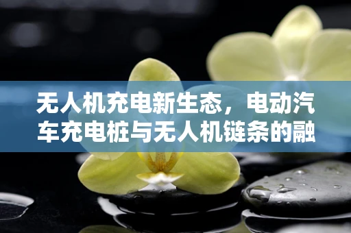 无人机充电新生态，电动汽车充电桩与无人机链条的融合挑战